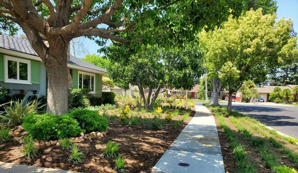 Trusted yard maintenance in Orange, CA - Artisan Landscape Design