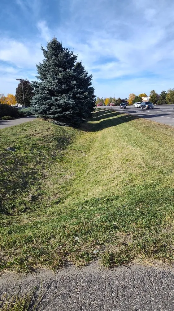 Local landscape design in Ukiah, CA by Artisan Landscape Services