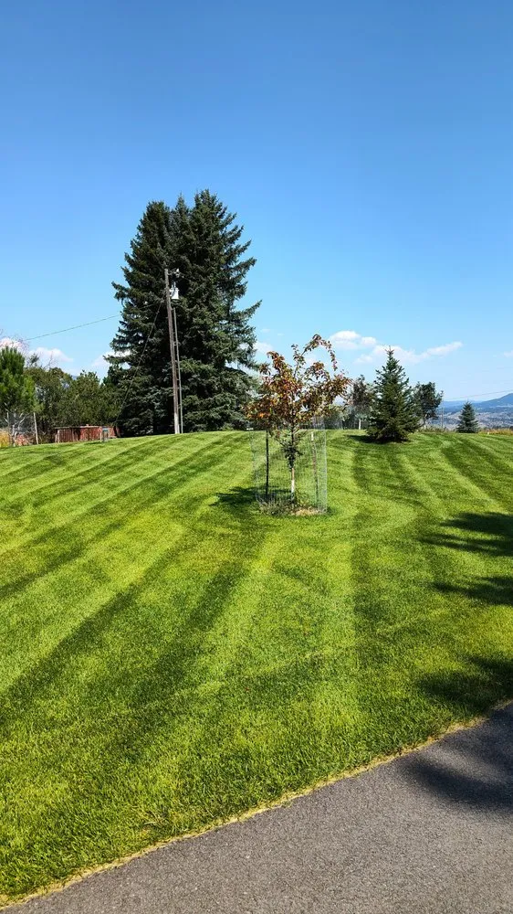 Trusted landscape design in Ukiah, CA by Artisan Landscape Services