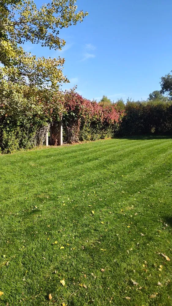 Trusted landscaping services in Ukiah, CA by Artisan Landscape Services