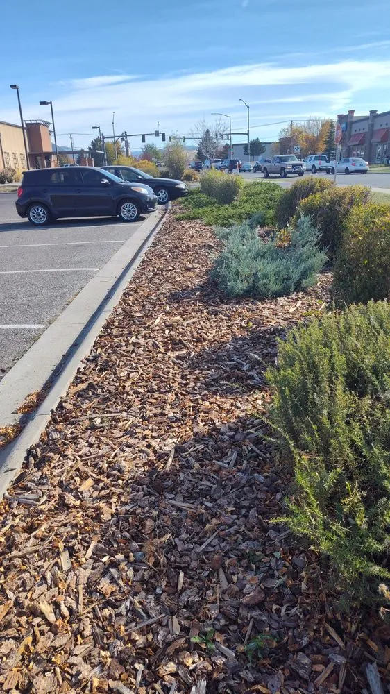 Top-rated outdoor landscaping in Ukiah, CA - Artisan Landscape Services