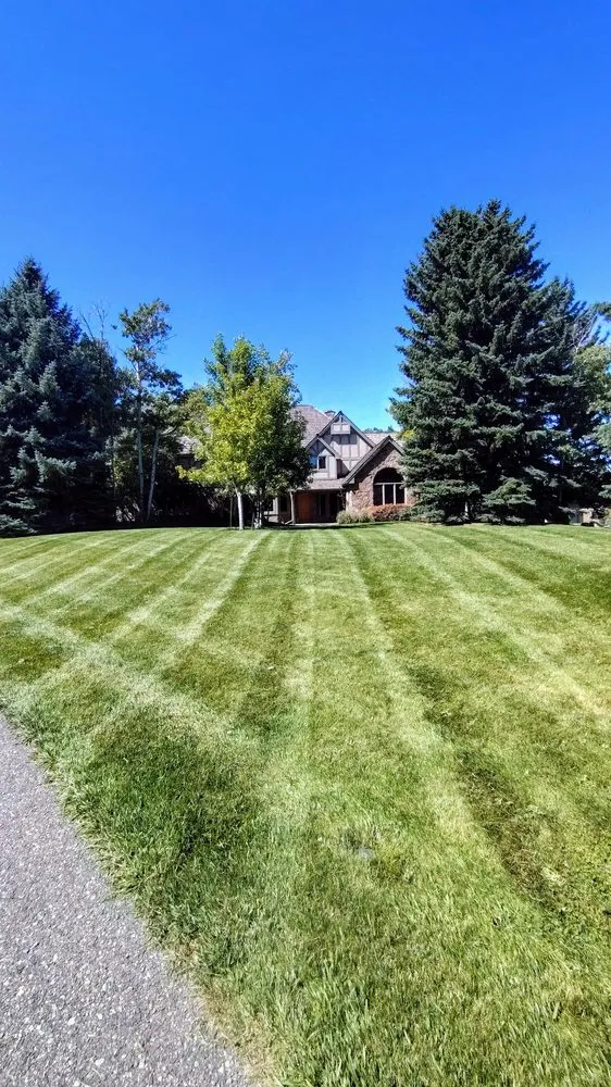 Expert landscaping services in Ukiah, CA - Artisan Landscape Services