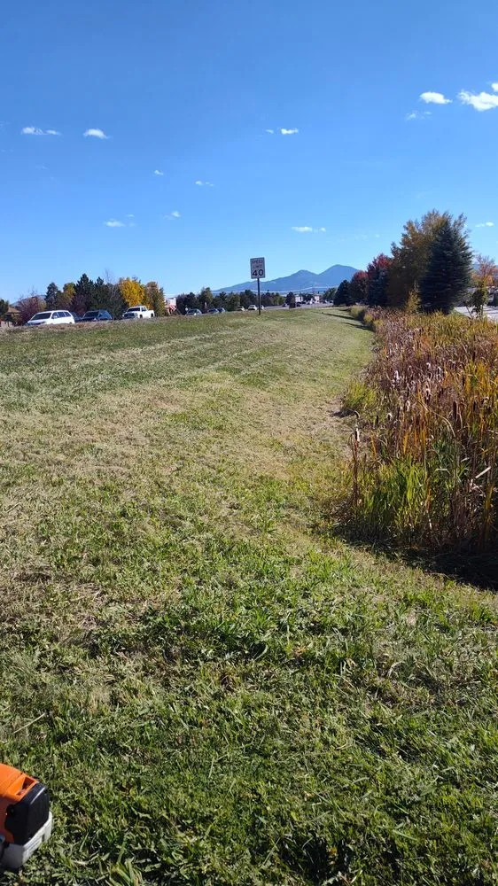 Professional lawn care service for year-round maintenance across Ukiah, CA - Artisan Landscape Services