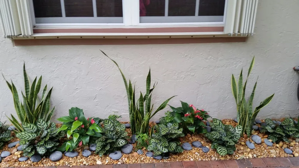 Affordable outdoor landscaping for beautiful yards in Fort Lauderdale, FL by Artisan Landscapes