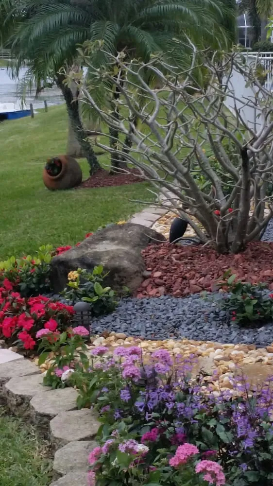 Professional yard maintenance in Fort Lauderdale, FL by Artisan Landscapes