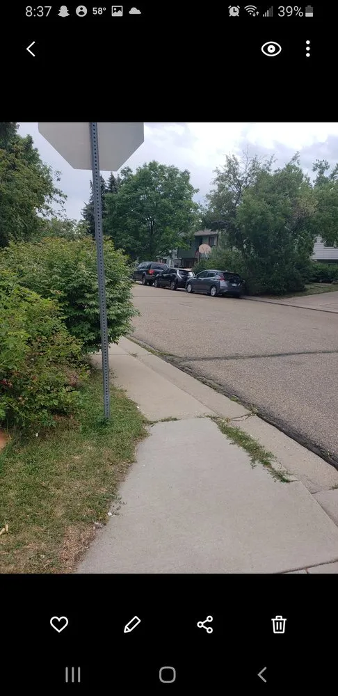 Top-rated yard cleanup service experts serving Boulder, CO - Artisan Landscaping