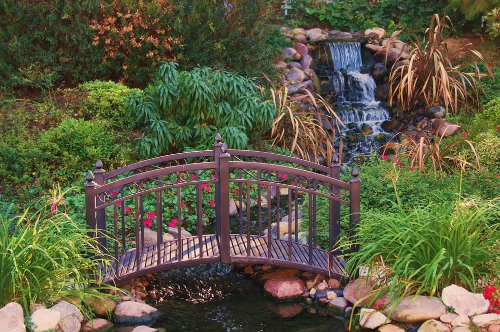 Custom yard maintenance for homes across Lake Elsinore, CA - Artisan Light & Landscape