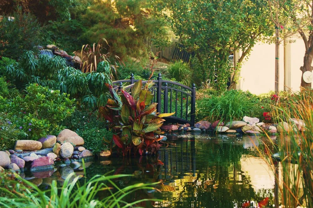 Affordable yard cleanup service with custom design in Lake Elsinore, CA by Artisan Light & Landscape