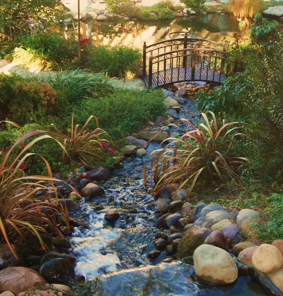 Custom landscape installation for residential properties across Lake Elsinore, CA - Artisan Light & Landscape