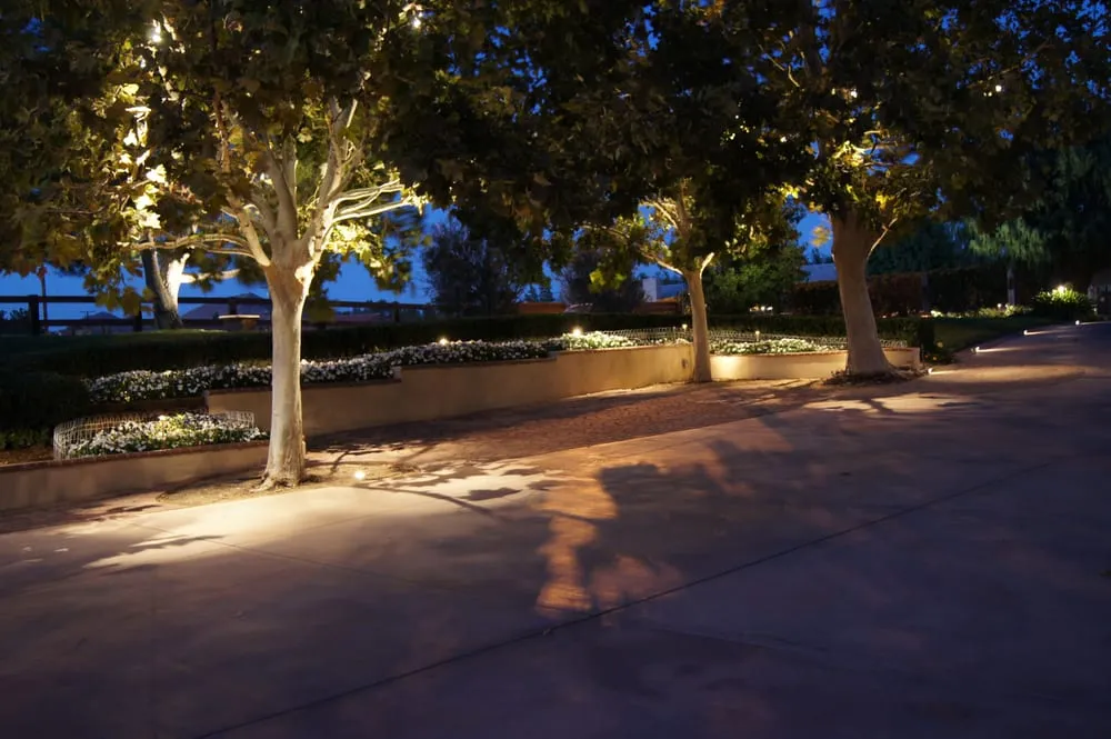 Expert residential landscaping in Lake Elsinore, CA by Artisan Light & Landscape