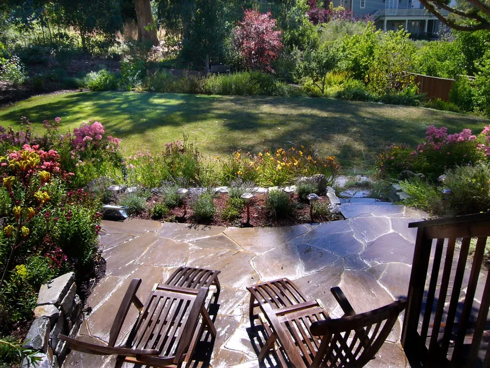 Expert lawn care service in San Francisco, CA - Artisans Landscape
