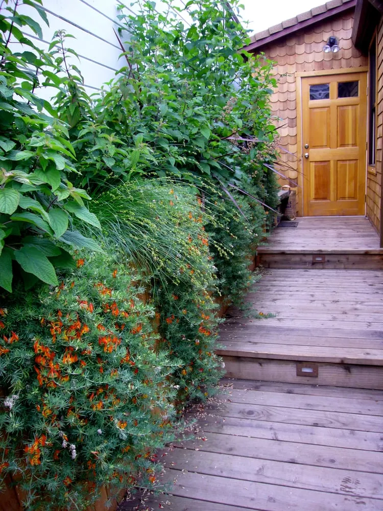 Trusted residential landscaping in San Francisco, CA - Artisans Landscape