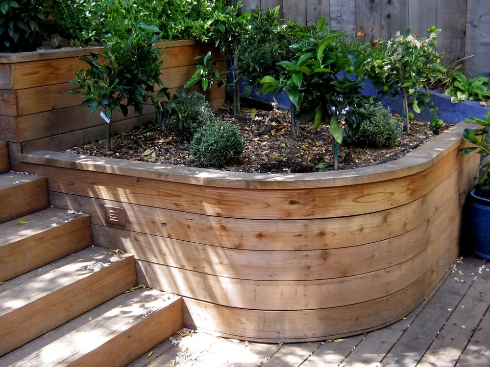 Top-rated lawn mowing service experts serving San Francisco, CA - Artisans Landscape