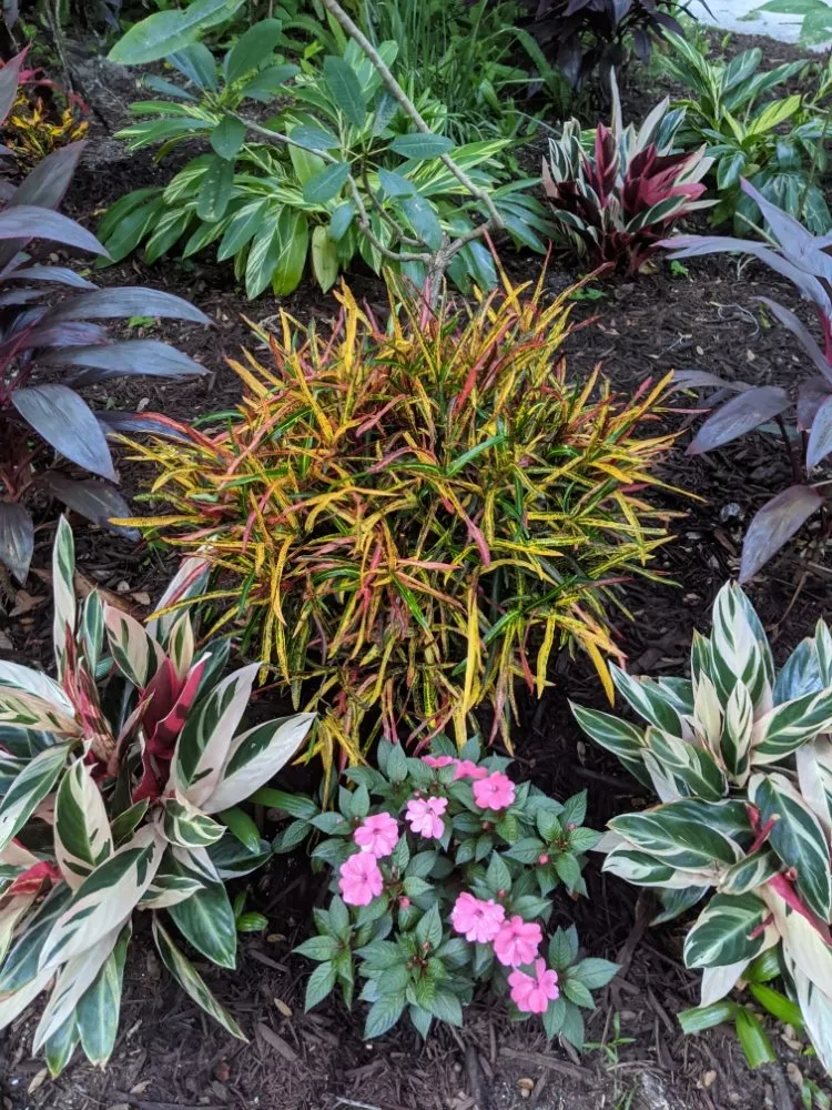 Trusted landscaping services in Longwood, FL - Artiscape