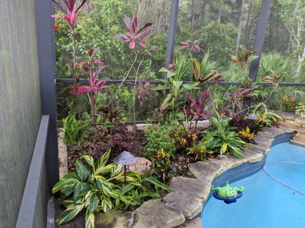 Local yard cleanup service experts serving Longwood, FL - Artiscape