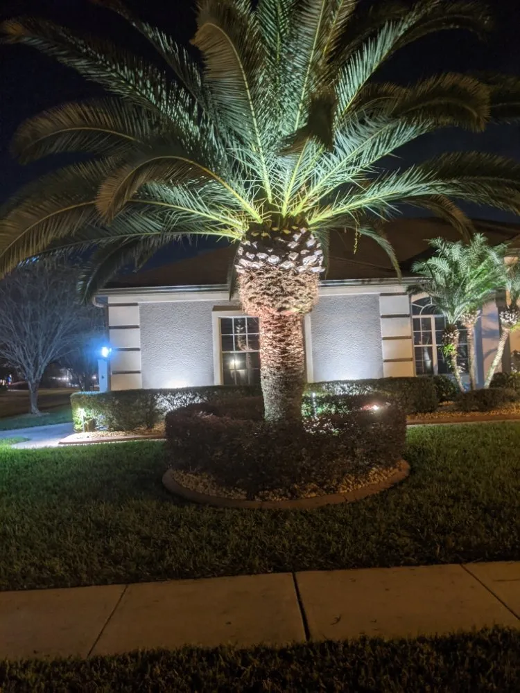 Top-rated landscape design near you in Longwood, FL by Artiscape