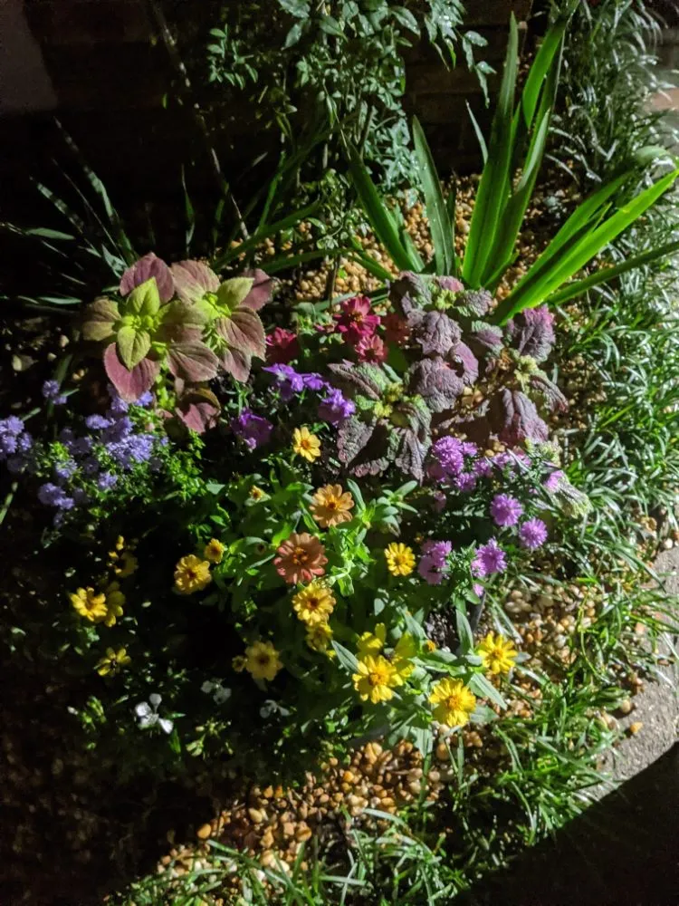 Expert yard maintenance for homes in Longwood, FL by Artiscape