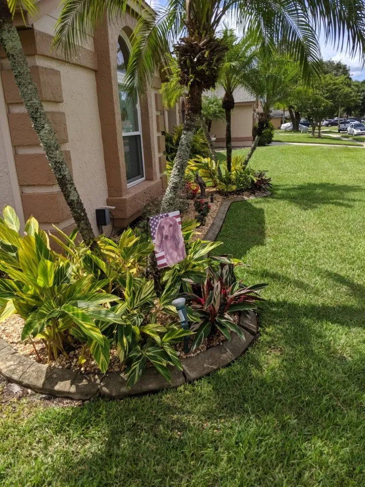 Local landscape design in Longwood, FL - Artiscape