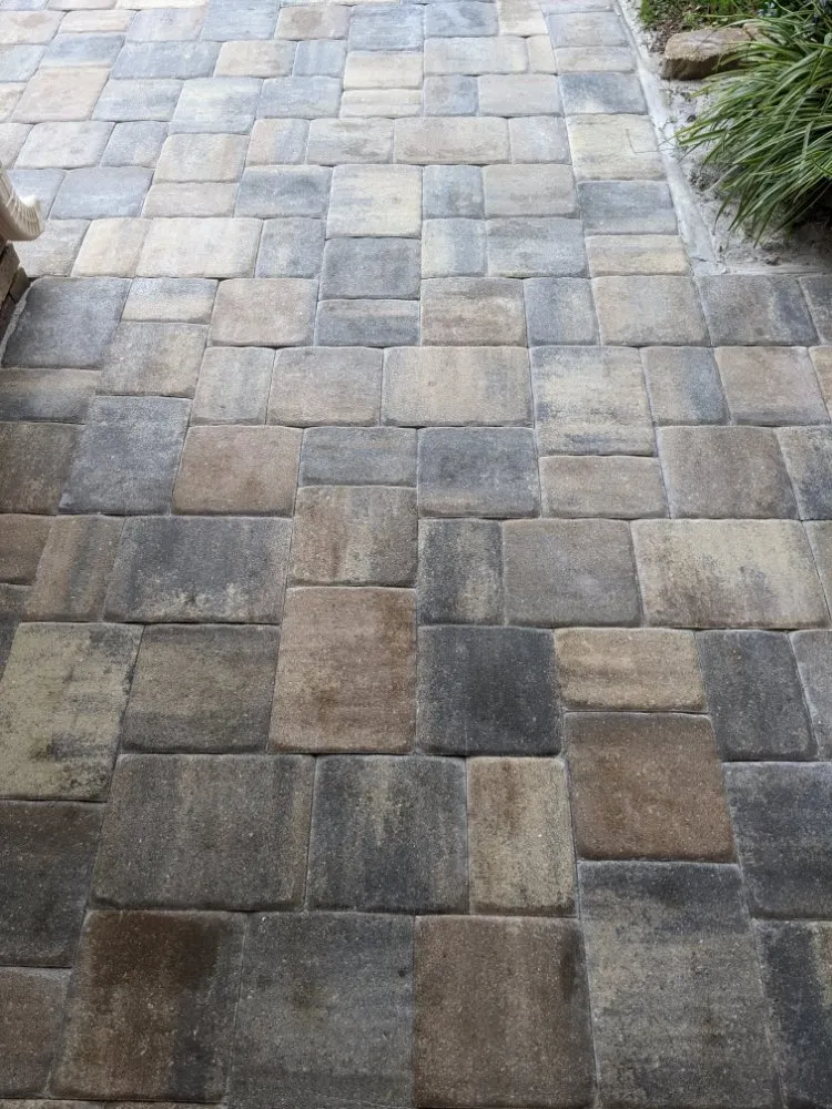 Local yard cleanup service experts serving Longwood, FL - Artiscape