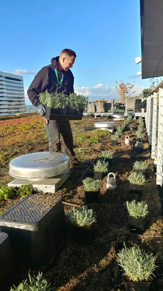 Top-rated residential landscaping experts serving Snohomish, WA - Artist Touch Landscaping