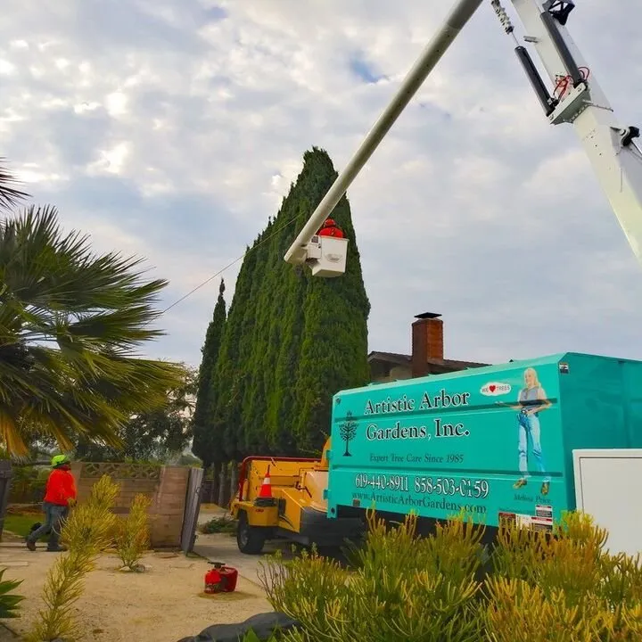 Top-rated lawn care service for outdoor upgrades across Lakeside, CA - Artistic Arbor Gardens