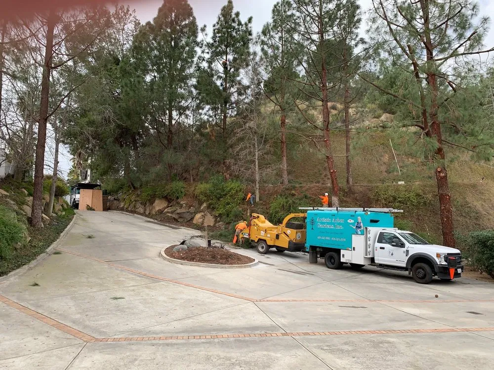 Expert outdoor landscaping for residential properties across Lakeside, CA - Artistic Arbor Gardens