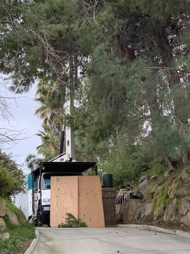 Local lawn care service for year-round maintenance in Lakeside, CA by Artistic Arbor Gardens