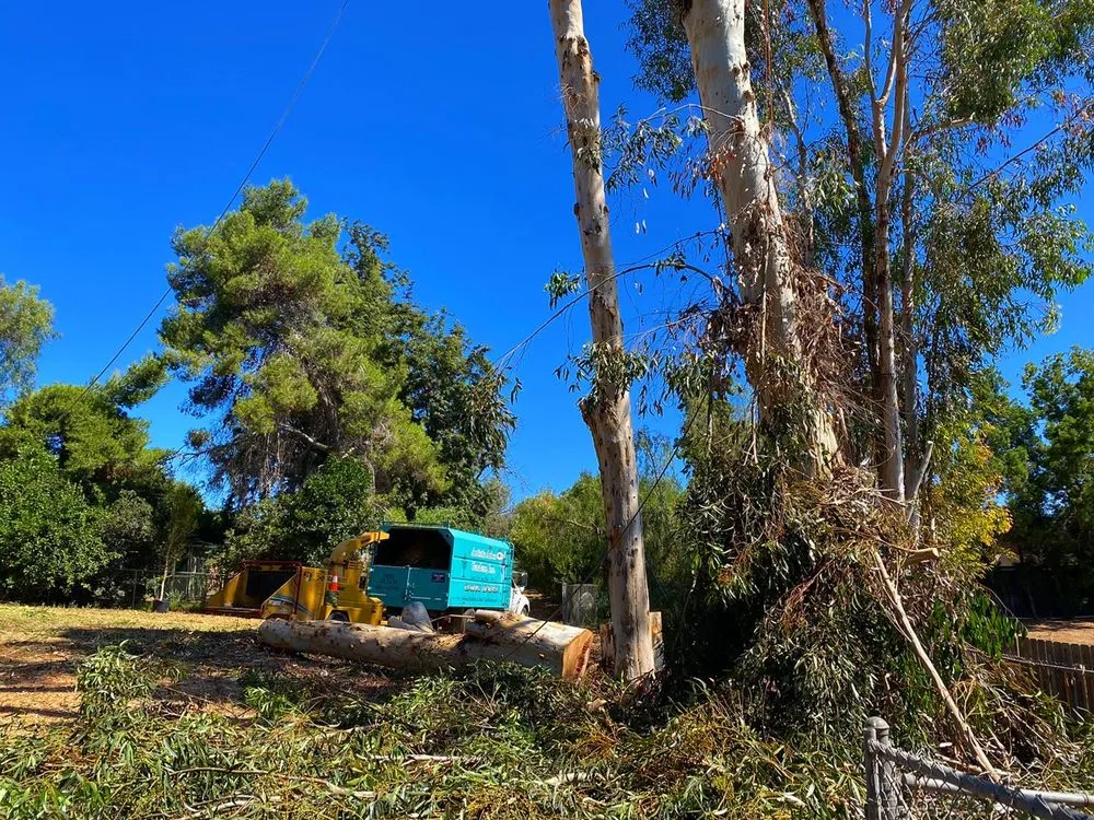 Trusted yard maintenance experts serving Lakeside, CA - Artistic Arbor Gardens