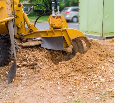 Top-rated yard cleanup service experts serving Lakeside, CA - Artistic Arbor Gardens