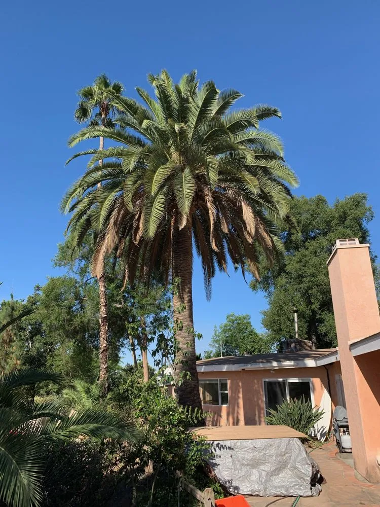 Affordable landscape design for beautiful yards across Lakeside, CA - Artistic Arbor Gardens