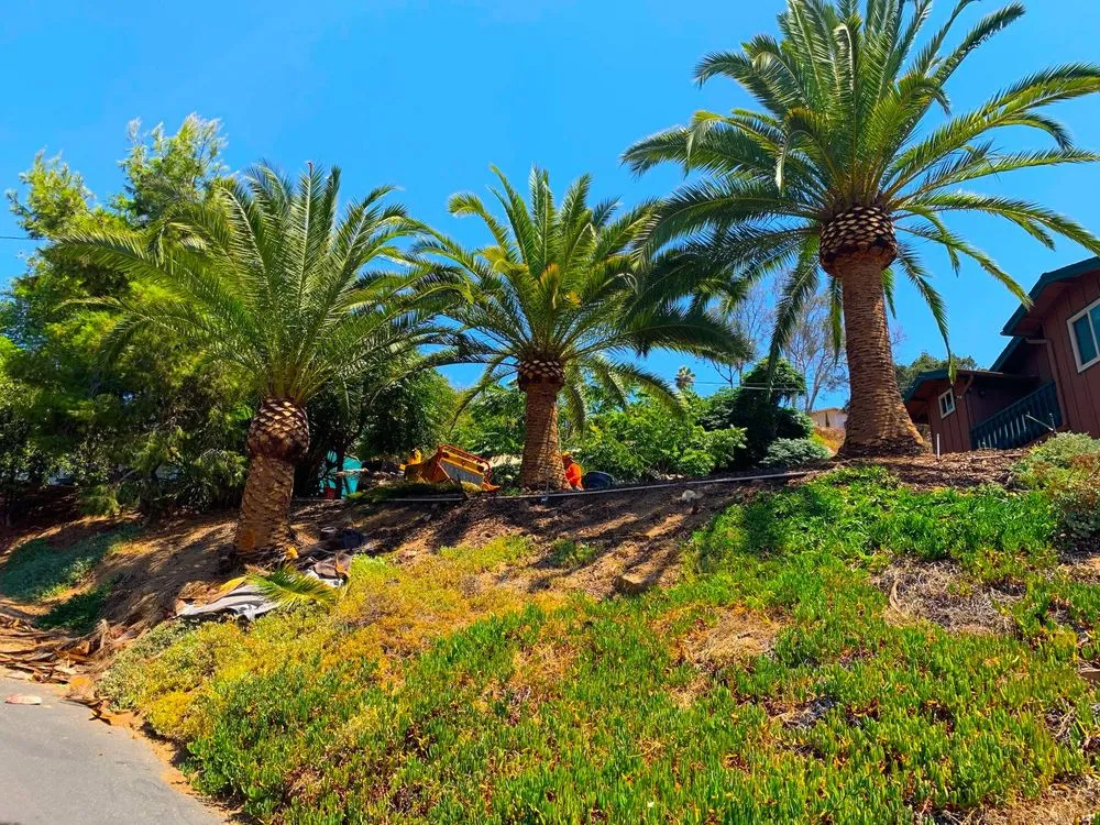 Local lawn care service in Lakeside, CA - Artistic Arbor Gardens