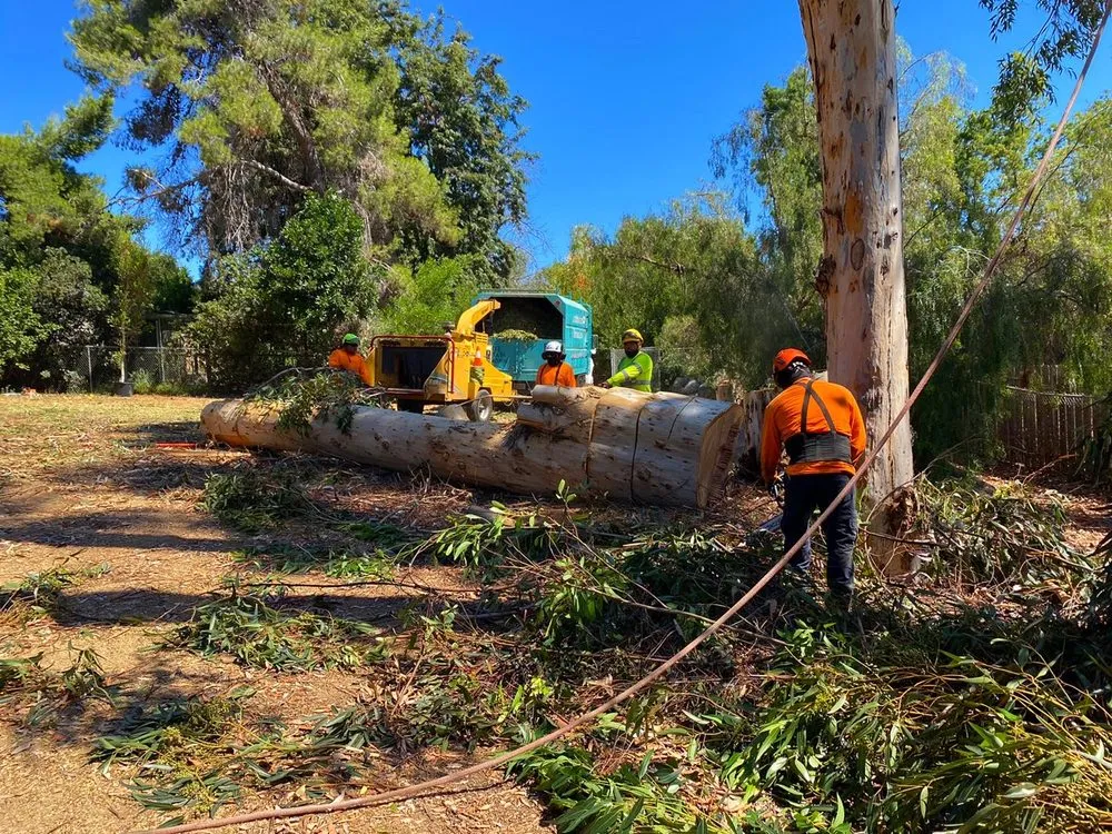 Expert lawn care service for homes in Lakeside, CA by Artistic Arbor Gardens