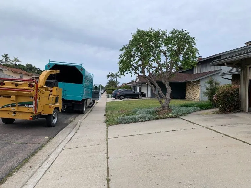 Trusted residential landscaping experts serving Lakeside, CA - Artistic Arbor Gardens