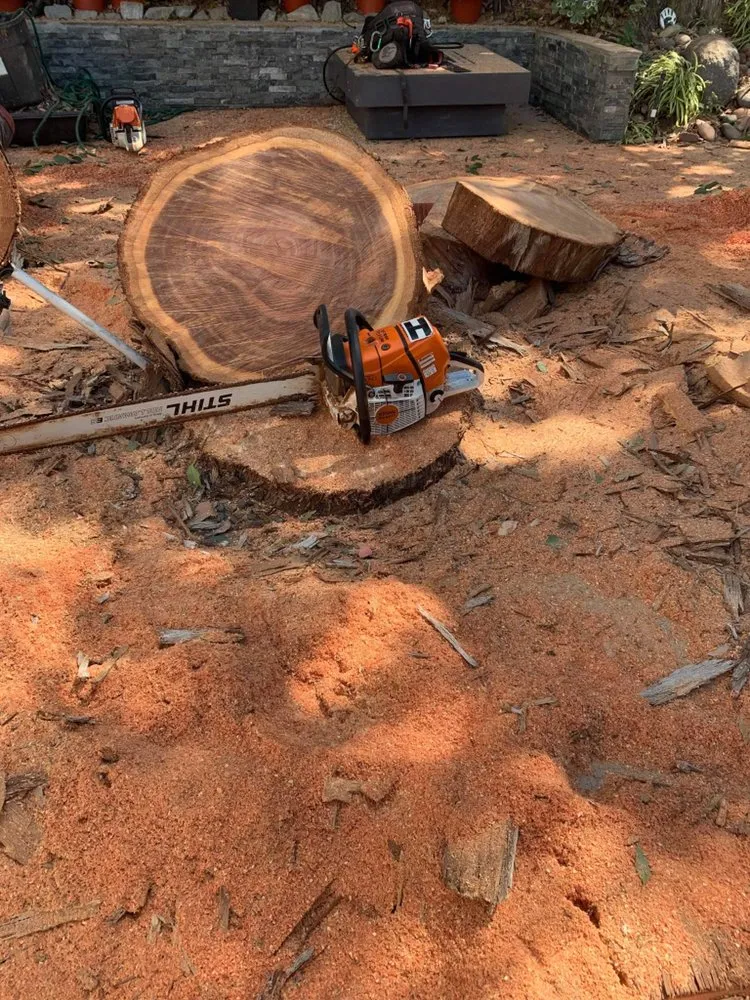 Reliable landscape design in Lakeside, CA - Artistic Arbor Gardens