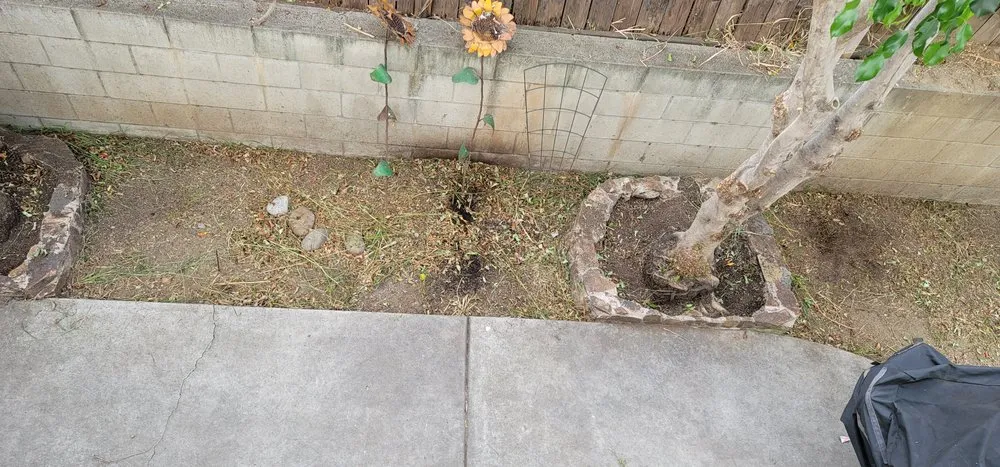 Reliable lawn care service in Lakeside, CA by Artistic Arbor Gardens