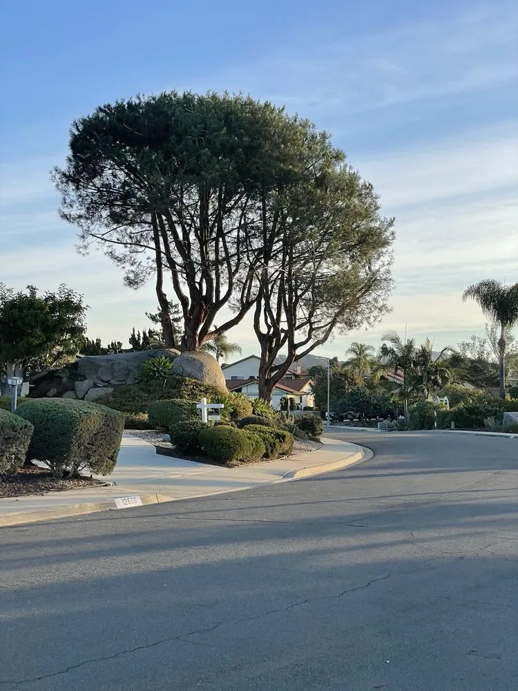 Top-rated lawn care service for beautiful yards in Lakeside, CA by Artistic Arbor Gardens