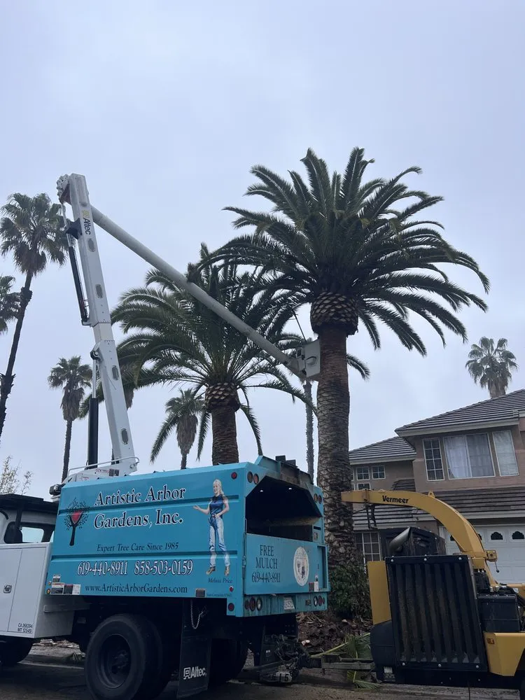 Local residential landscaping near you across San Diego, CA - Artistic Arbor Gardens