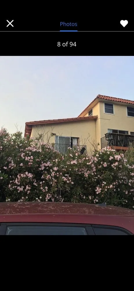 Expert landscape design in San Diego, CA - Artistic Arbor Gardens