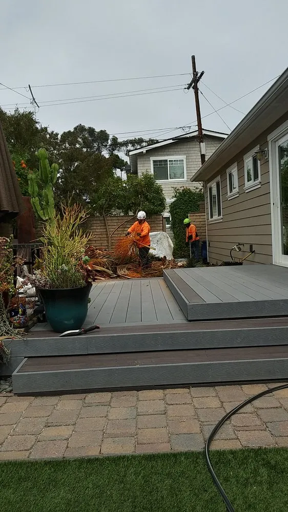 Top-rated yard maintenance experts serving San Diego, CA - Artistic Arbor Gardens