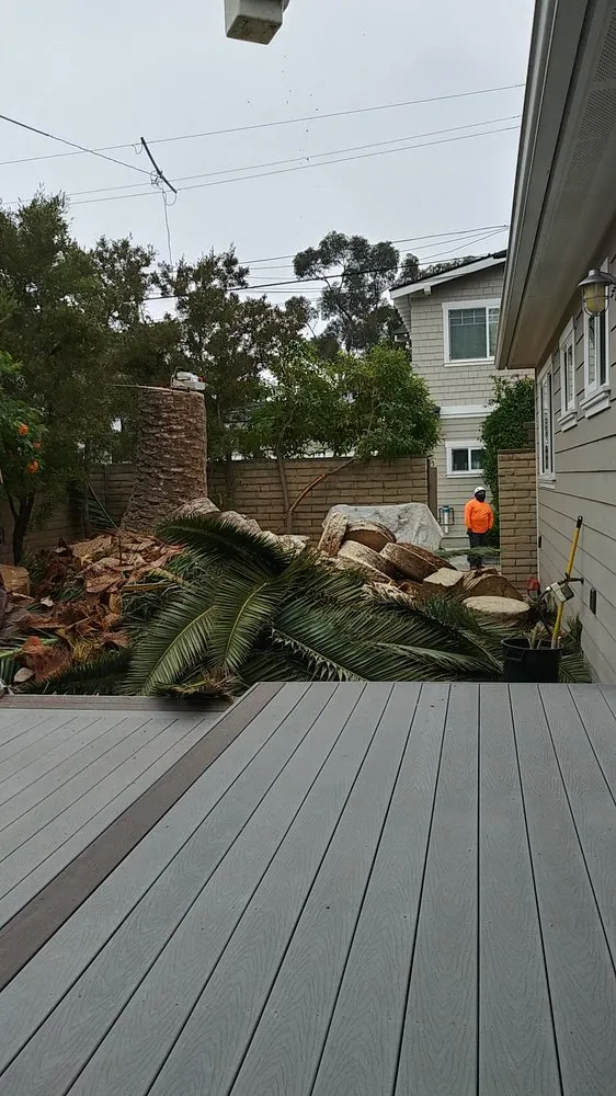 Trusted yard cleanup service experts serving San Diego, CA - Artistic Arbor Gardens