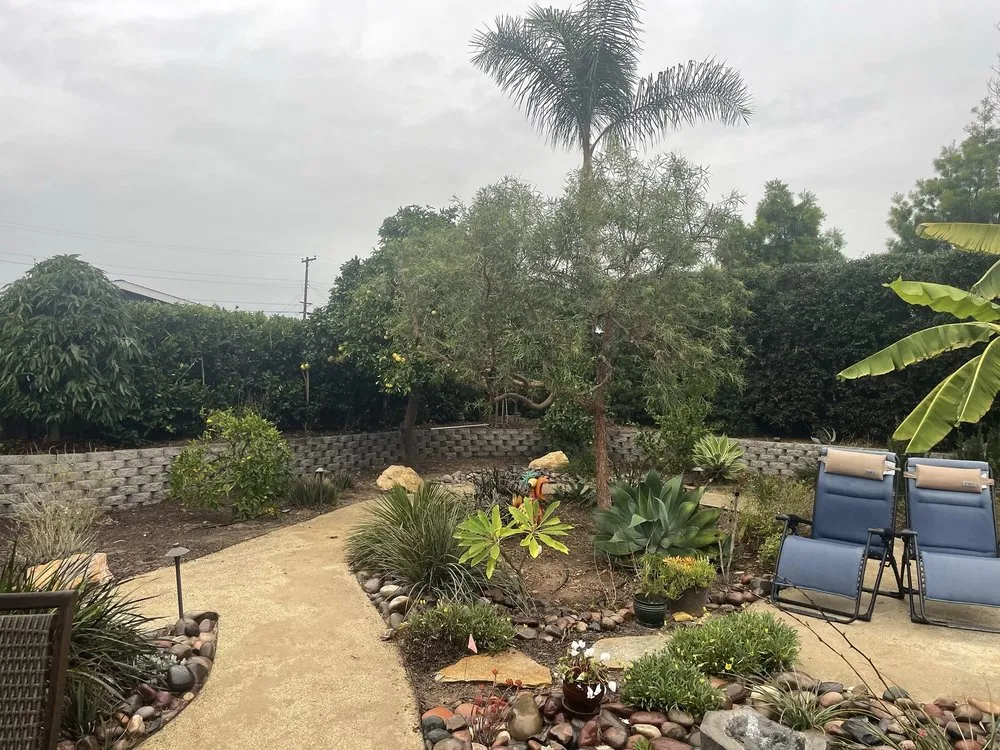 Affordable landscape installation experts serving San Diego, CA - Artistic Arbor Gardens