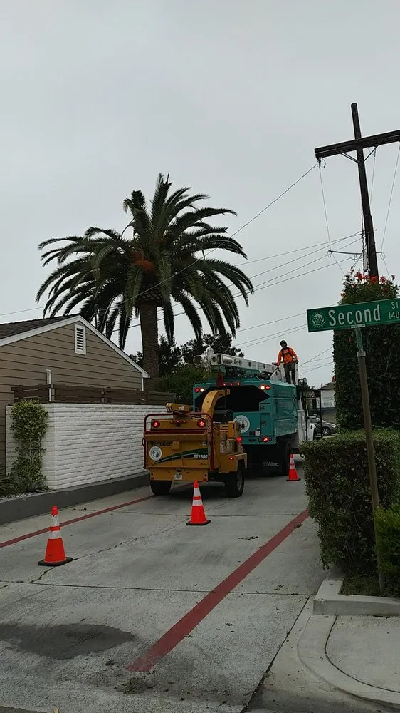 Professional outdoor landscaping in San Diego, CA by Artistic Arbor Gardens