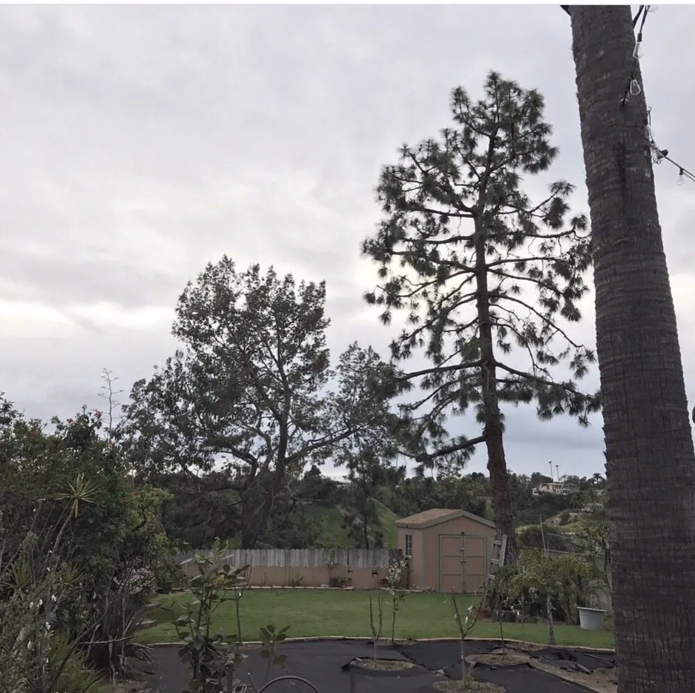 Custom landscaping services with custom design in Ramona, CA by Artistic Arborist