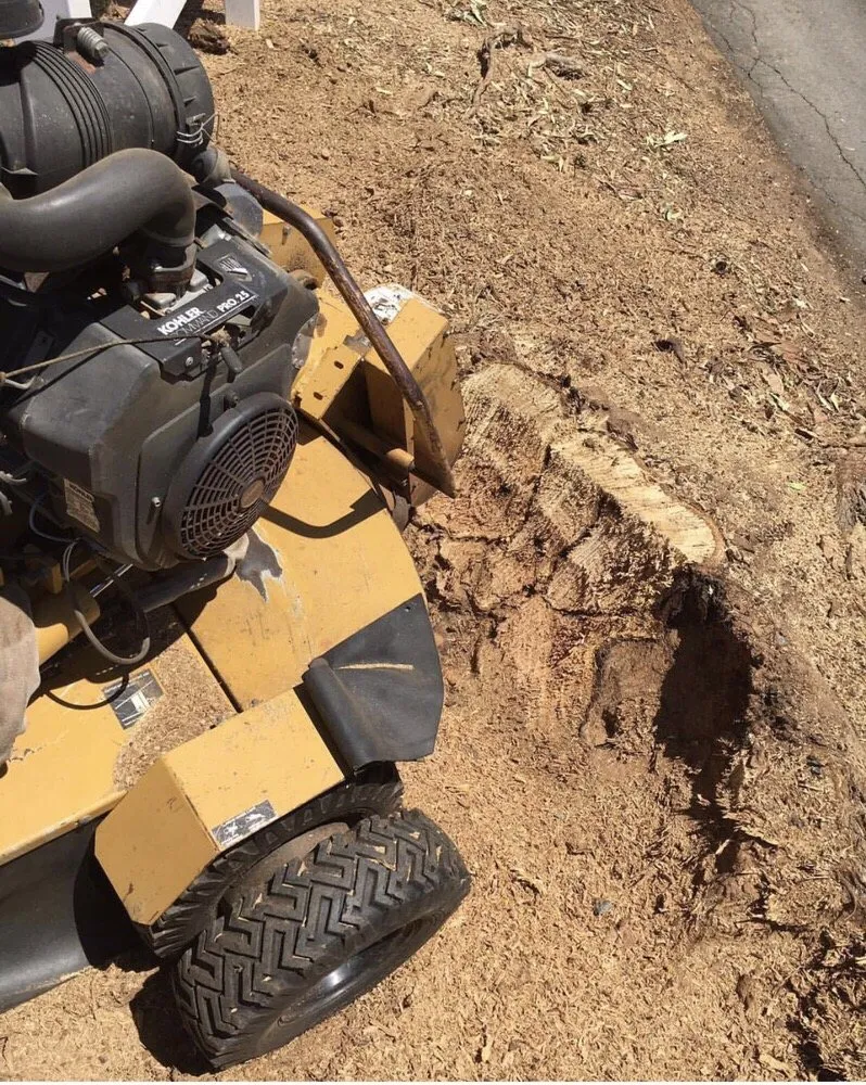 Affordable lawn care service with custom design in Ramona, CA by Artistic Arborist