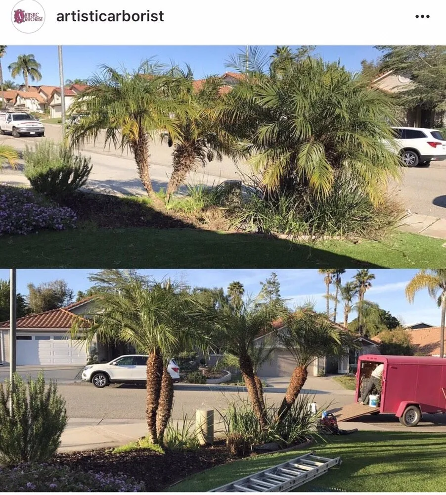 Trusted lawn care service experts serving Ramona, CA - Artistic Arborist