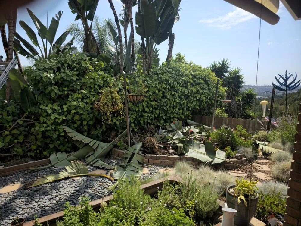 Affordable lawn care service in Ramona, CA by Artistic Arborist