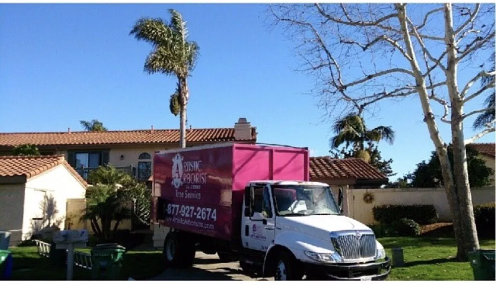 Professional yard maintenance in Ramona, CA by Artistic Arborist