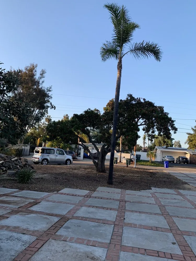 Top-rated landscaping services in Ramona, CA - Artistic Arborist