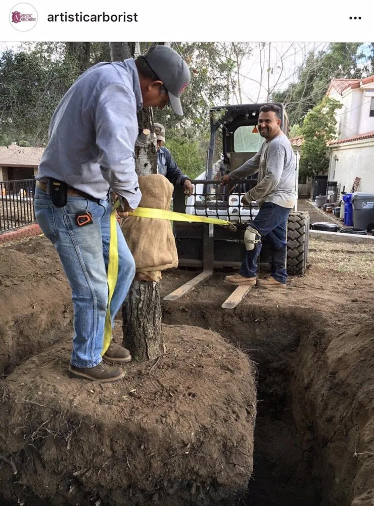 Trusted lawn mowing service experts serving Ramona, CA - Artistic Arborist