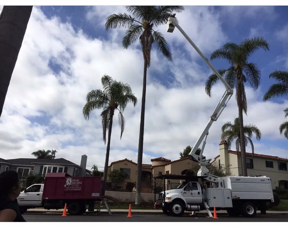 Top-rated residential landscaping in Ramona, CA by Artistic Arborist